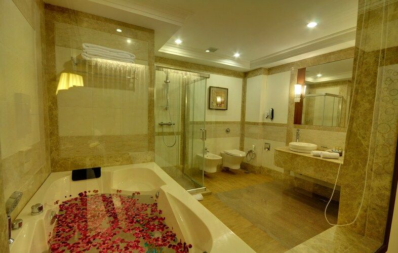 Hotel Kailash International Suite Room 9