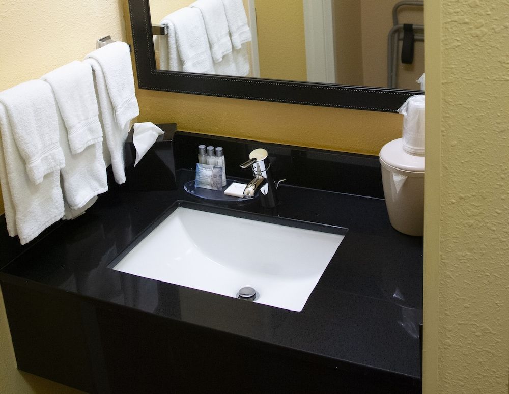 Suite, 1 King Bed with Sofa bed