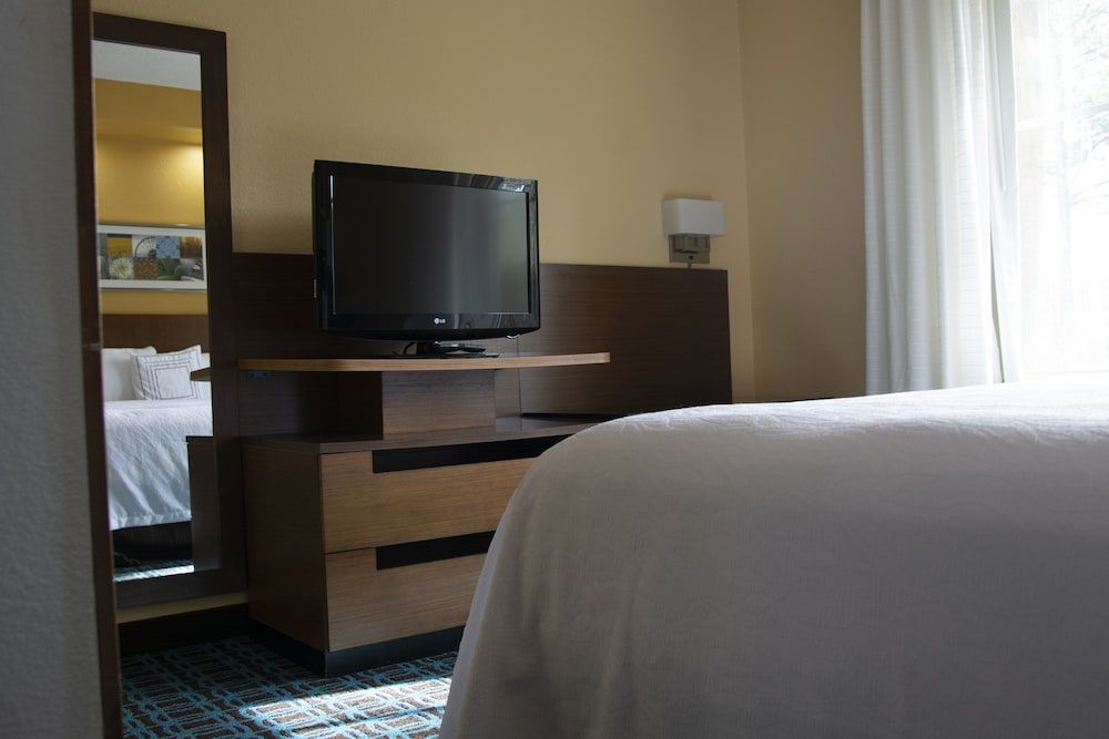 Suite, 1 King Bed with Sofa bed