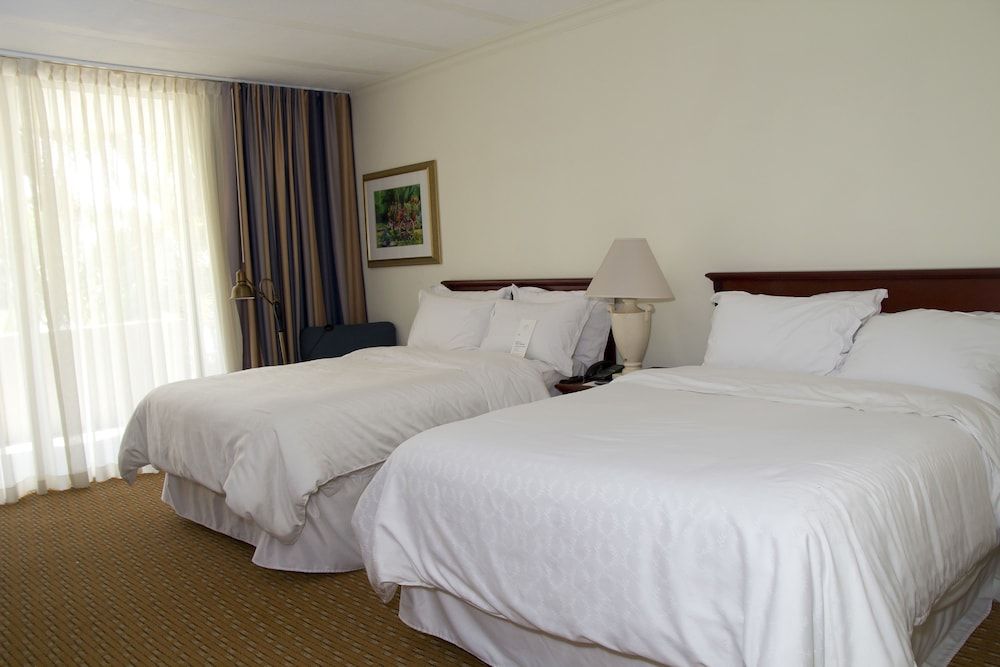 undefined Sheraton Presidente San Salvador Hotel 2