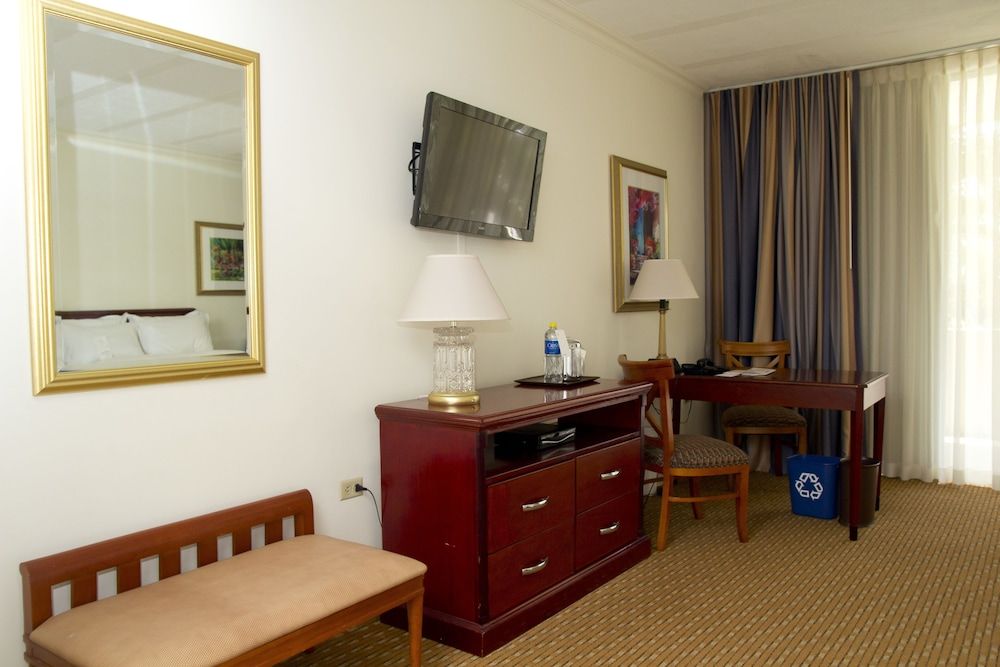 Sheraton Presidente San Salvador Hotel Deluxe Room, 1 King Bed, Balcony 10