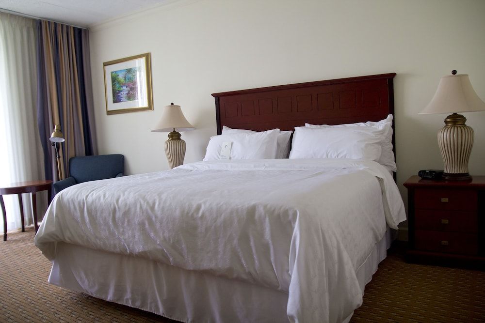 undefined Sheraton Presidente San Salvador Hotel 4