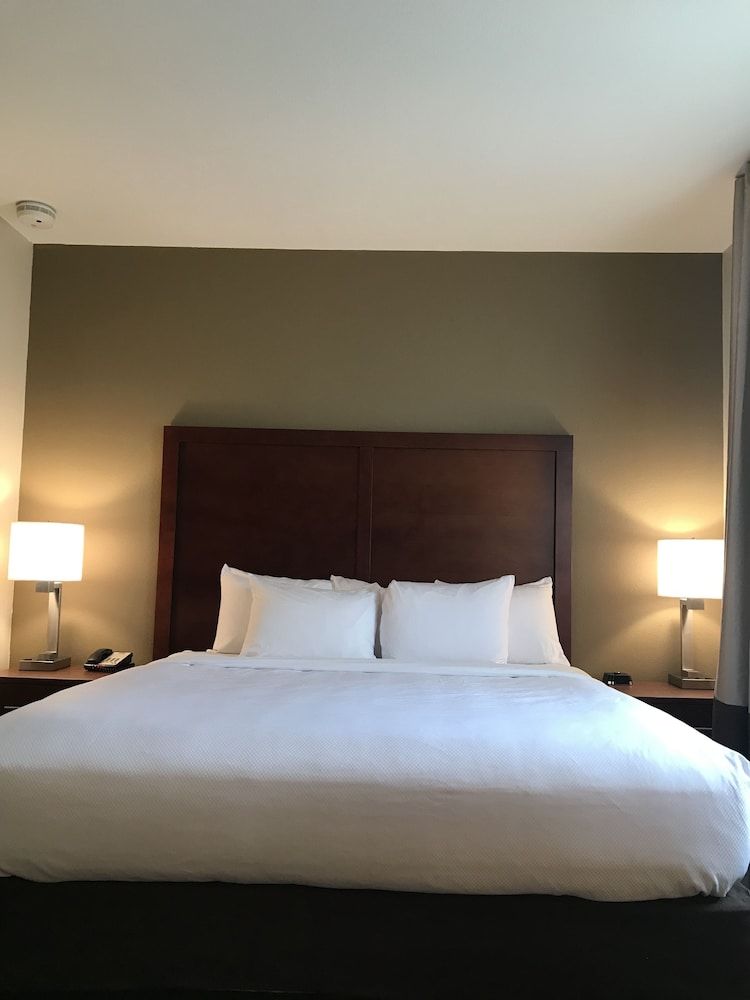 Suite, 1 King Bed with Sofa bed, Non Smoking