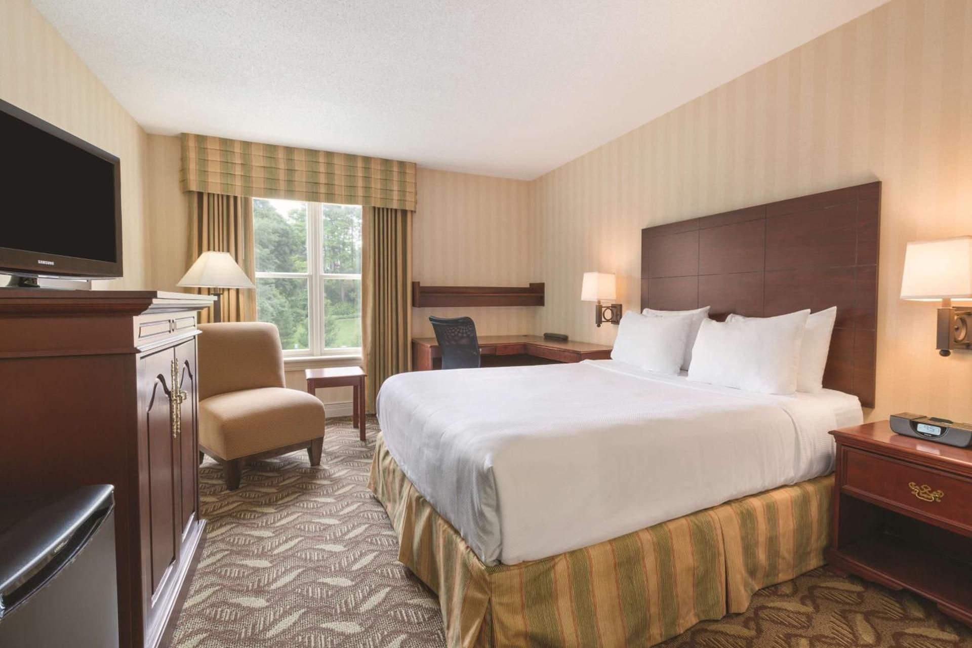 Executive Queen Room with Park View - Non-Smoking