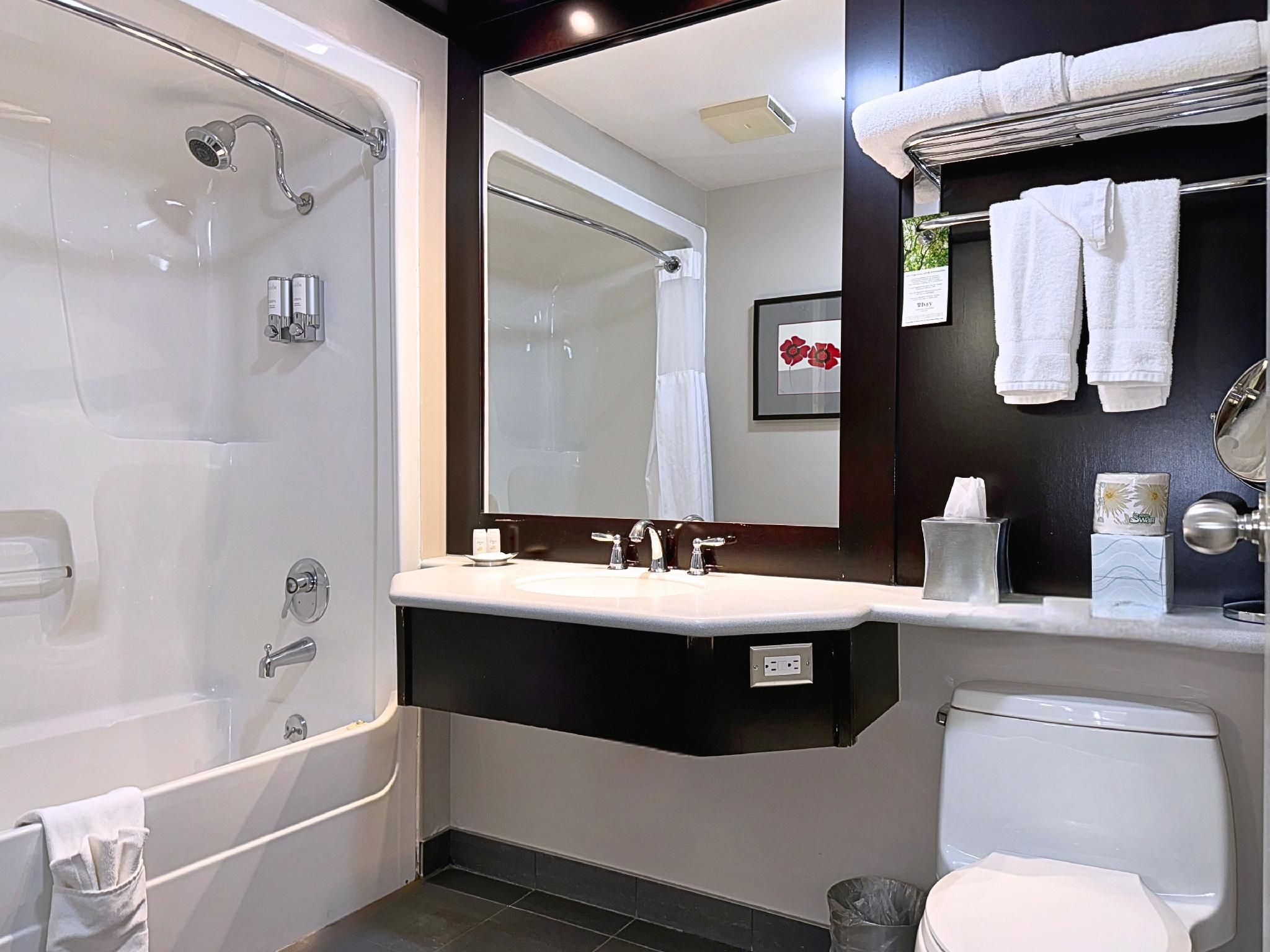 1 Queen Bed Executive Non-smoking