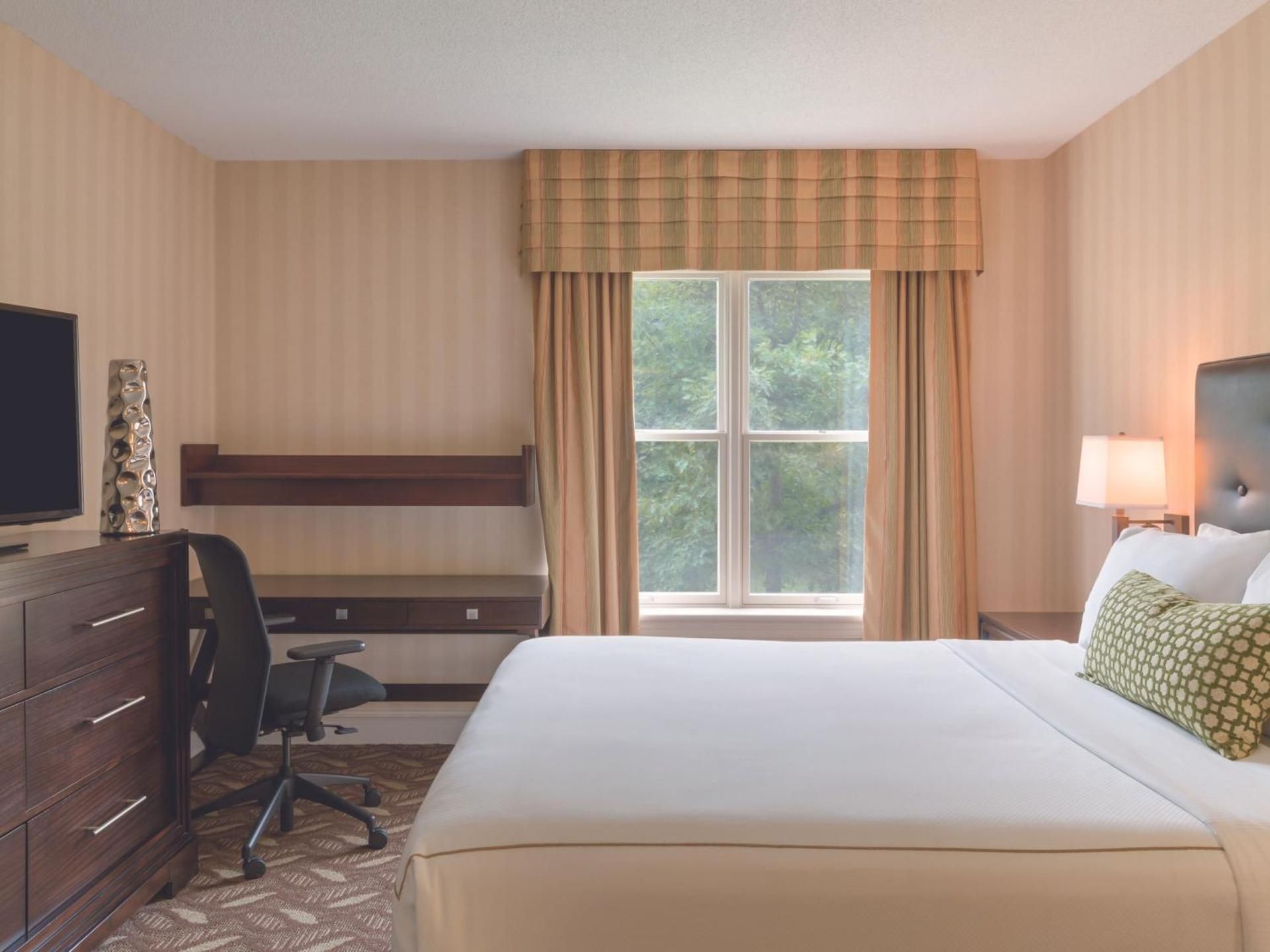 One-Bedroom Executive Queen Suite - Non-Smoking