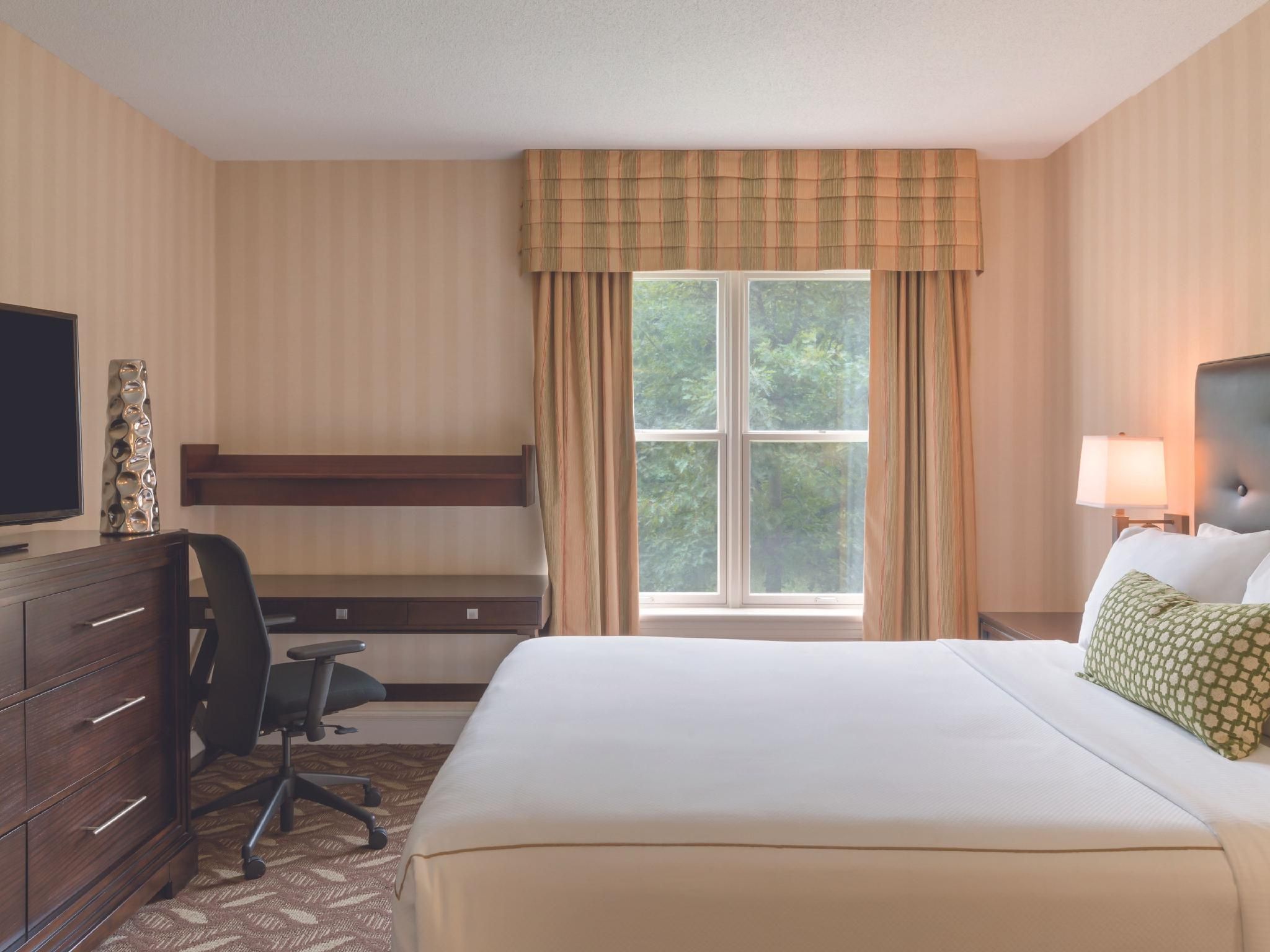 1 Bedroom Executive Suite