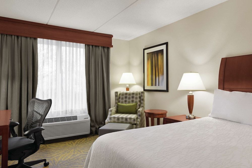 Room, 1 King Bed, Accessible (Roll-in Shower)
