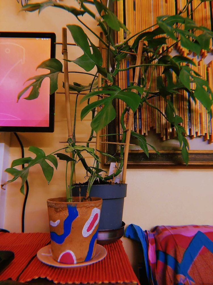 Looming Hostel Traditional Shared Dormitory 5