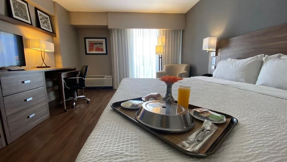 Classic Room, 1 King Bed, Non Smoking, City View