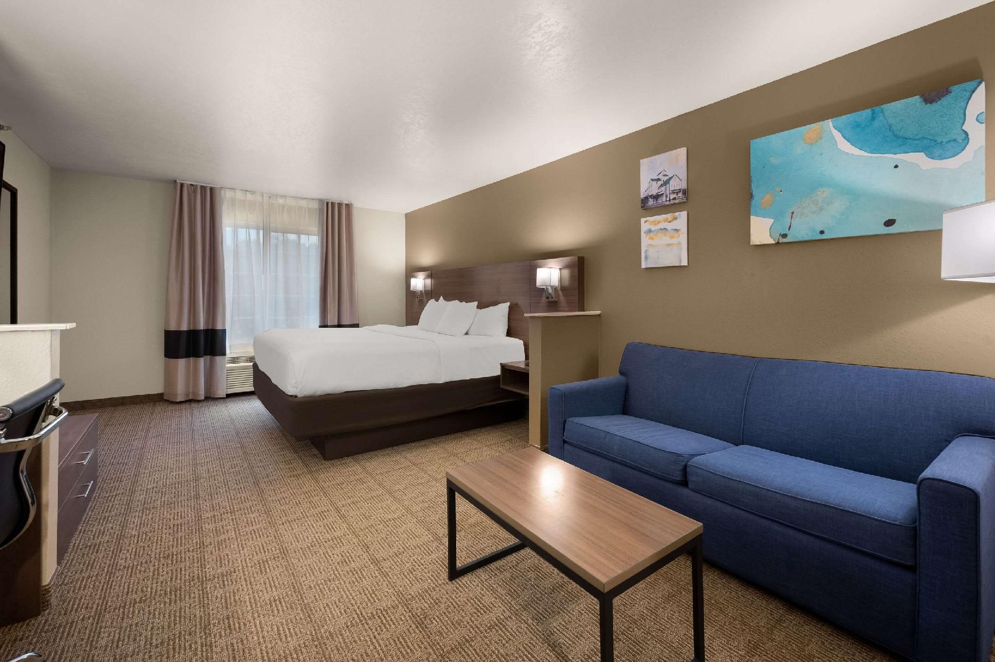 1 King Bed, Suite, Nonsmoking