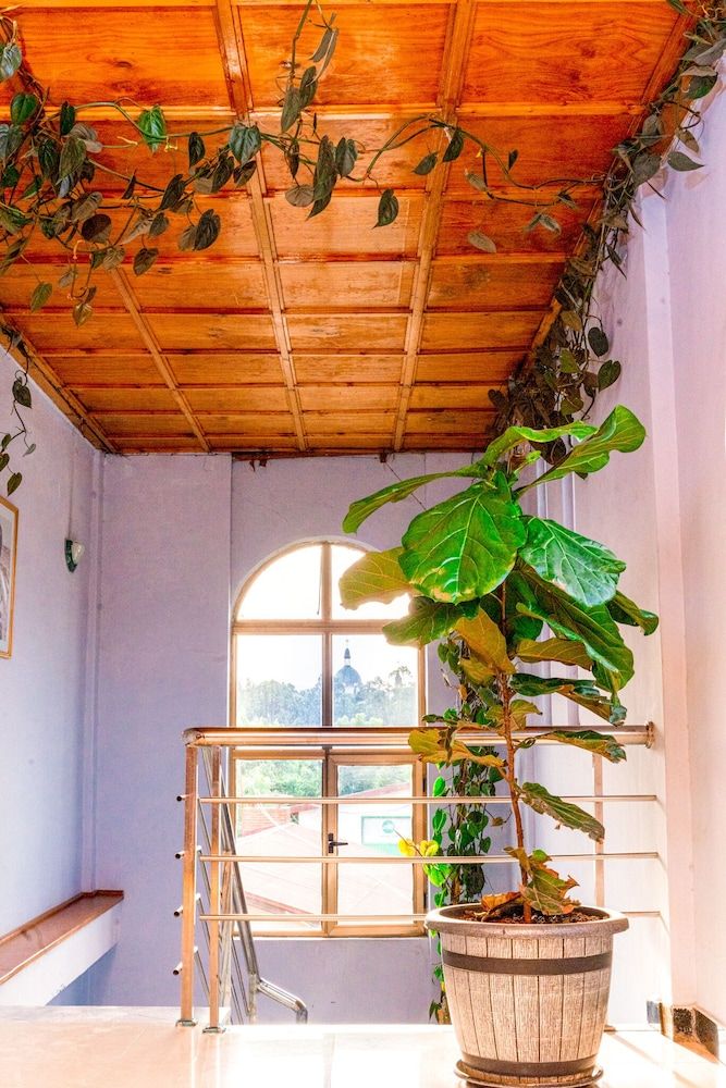 undefined Ras Amba Hotel 4