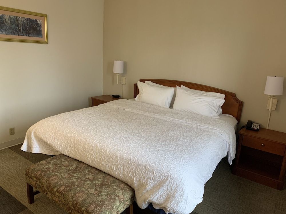 Suite, 1 King Bed with Sofa bed, Accessible, Non Smoking