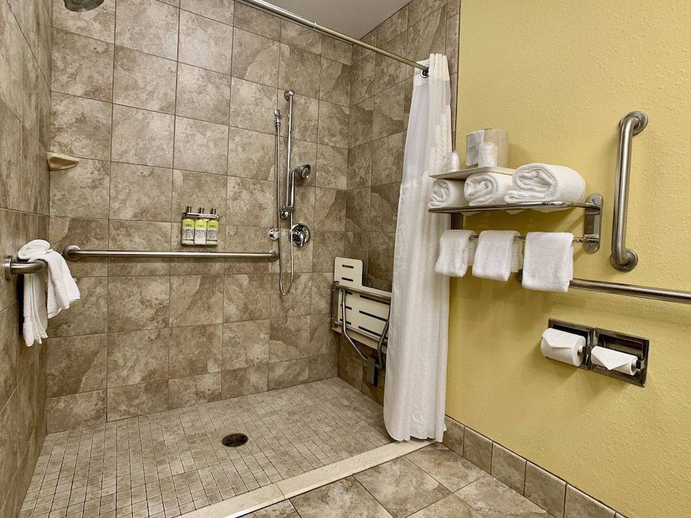 Room, 1 King Bed, Accessible (Roll-In Shower)