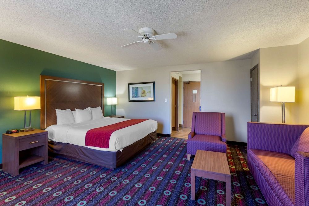 Suite, 1 King Bed with Sofa bed, Non Smoking