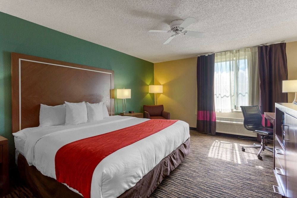 Standard Room, 1 King Bed, Non Smoking