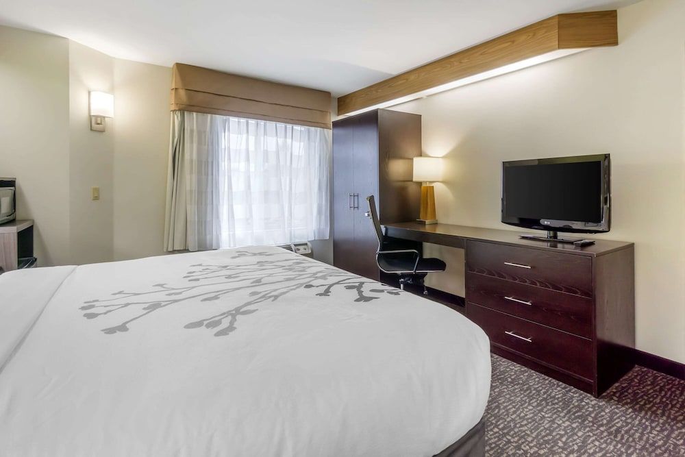 Standard Room, 1 King Bed, Non-Smoking, Refrigerator & Microwave