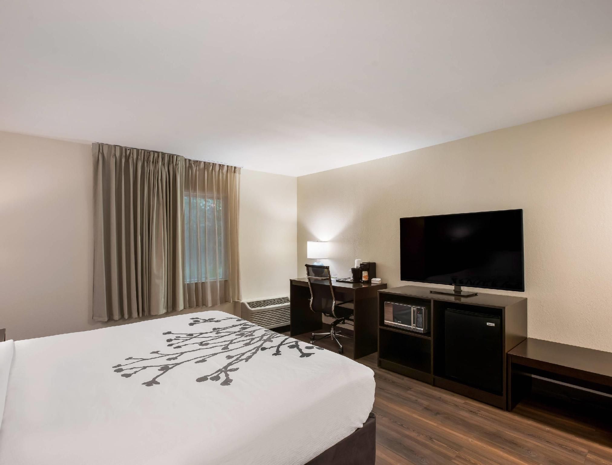 1 King Bed, Nonsmoking, Accessible