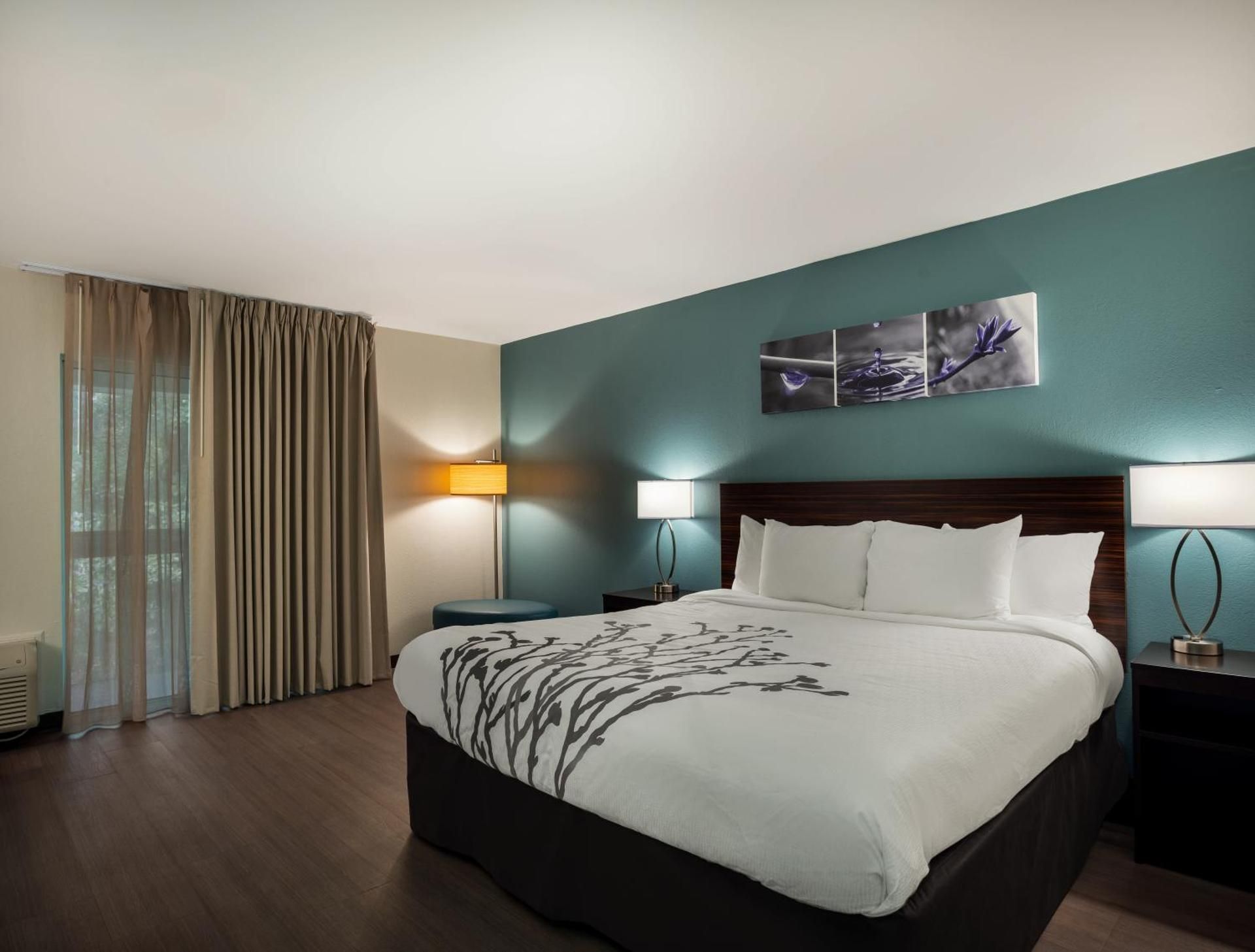 1 King Bed, Nonsmoking