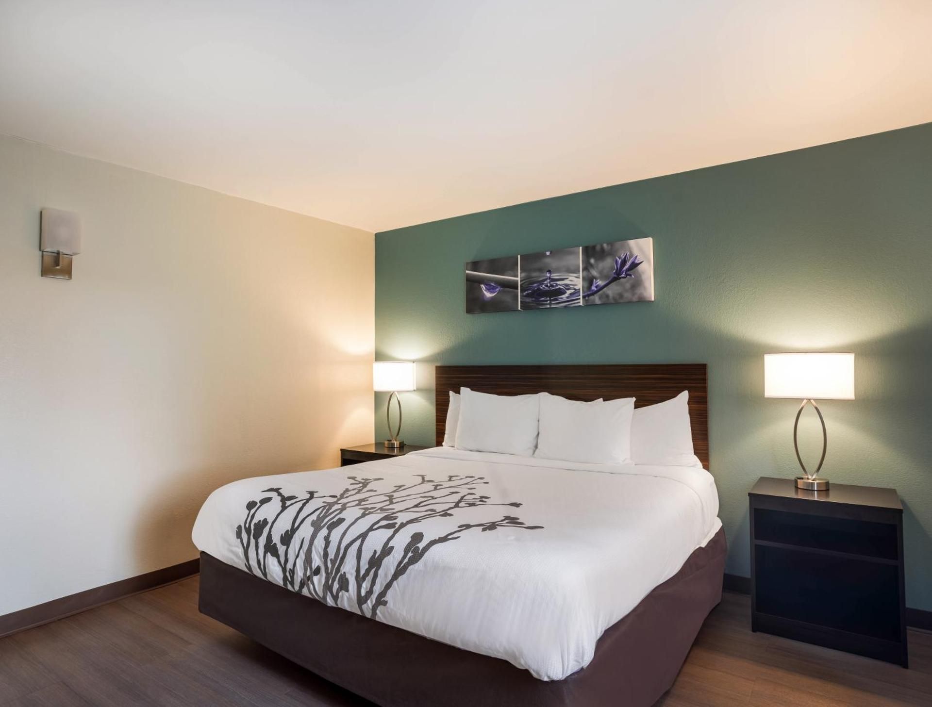 undefined Sleep Inn Savannah Midtown 8