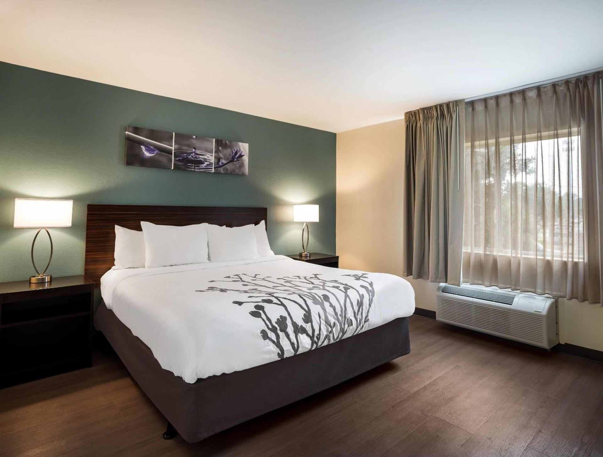 1 King Bed, Suite, Nonsmoking