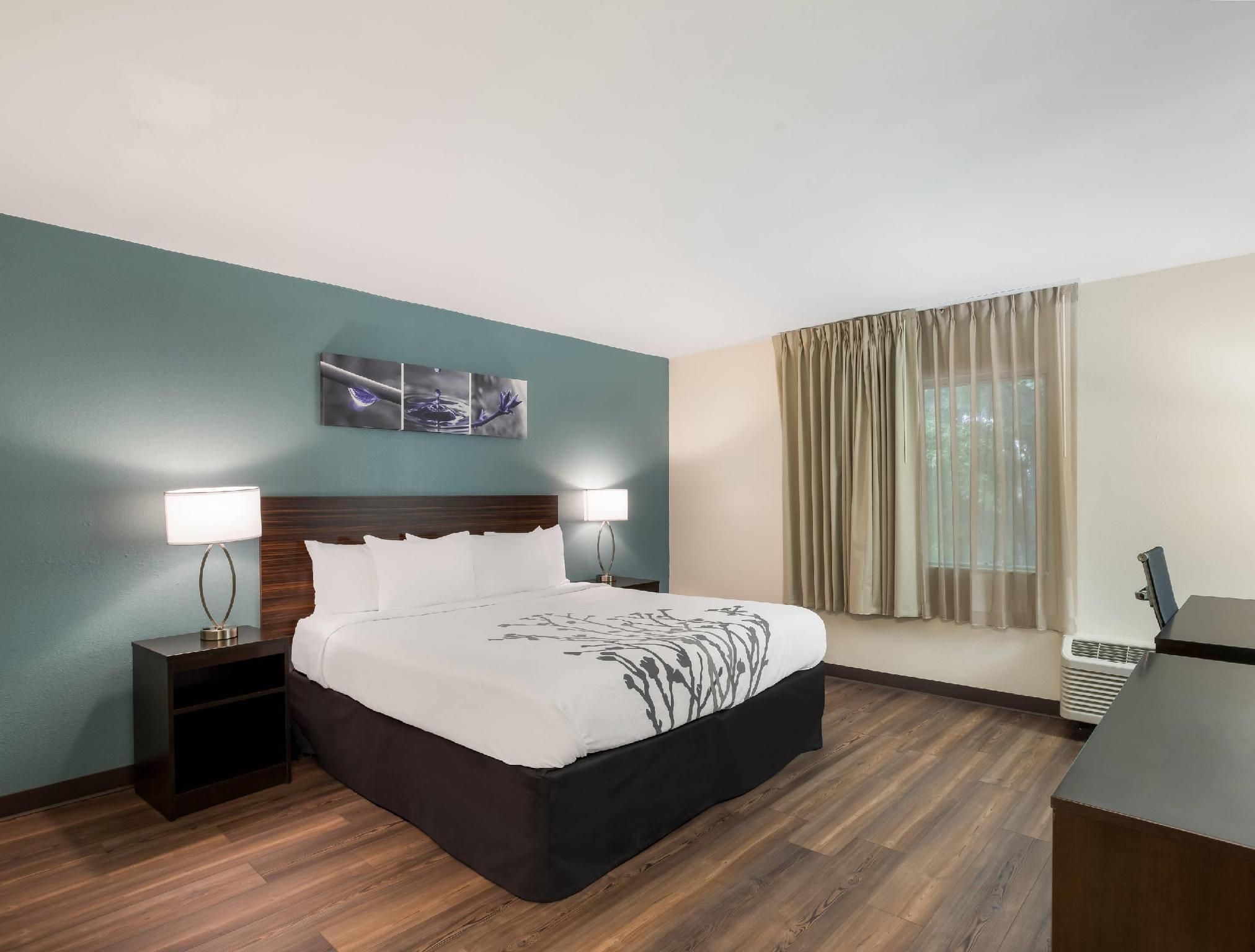 1 King Bed, Nonsmoking, Accessible