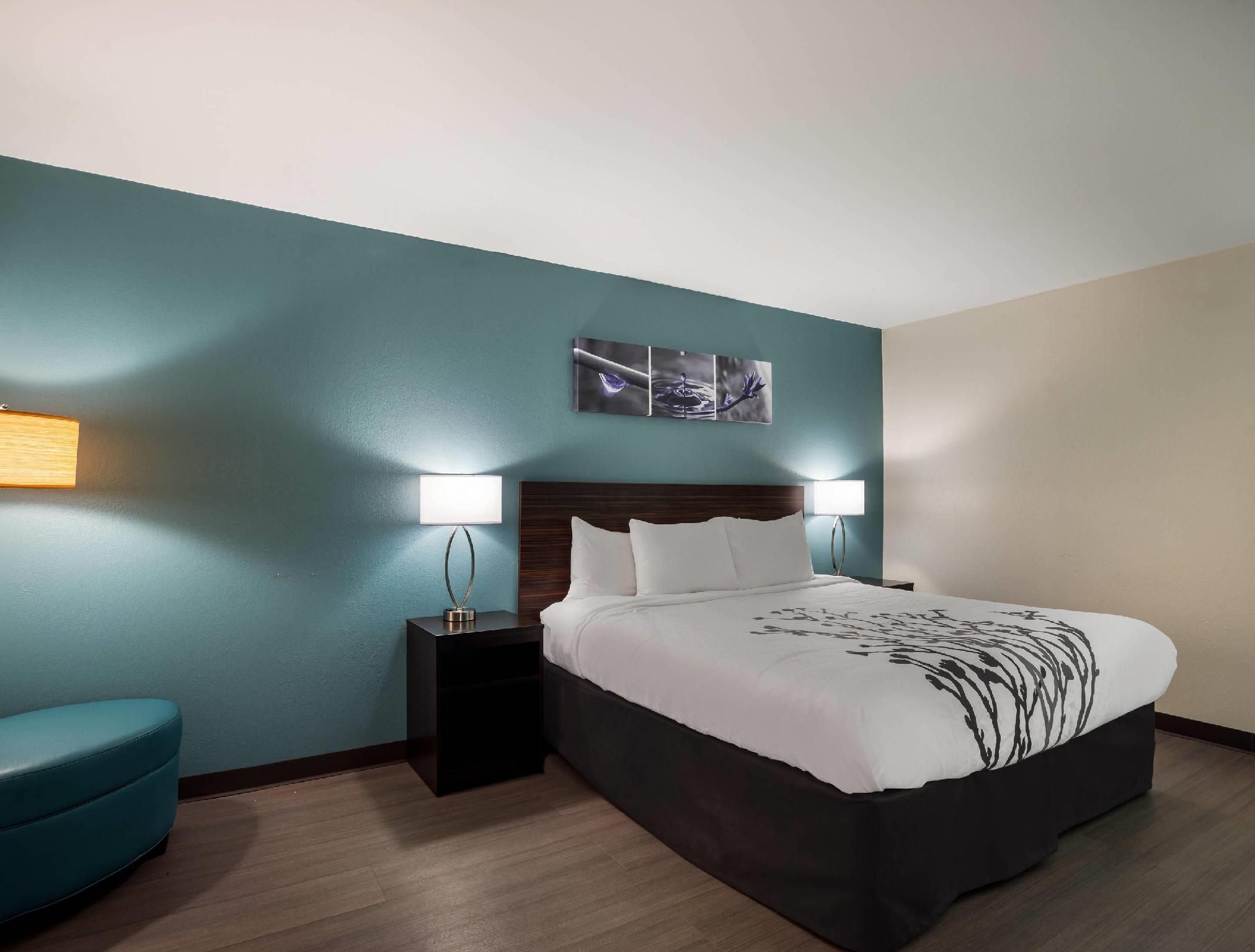 1 King Bed, Nonsmoking