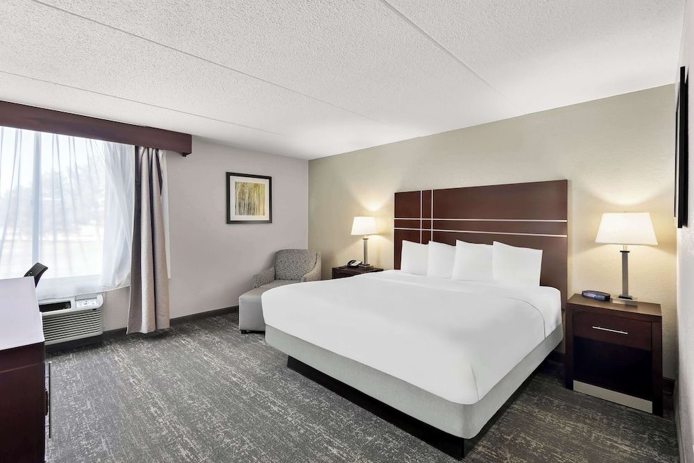 Standard Room, 1 King Bed, Accessible, Refrigerator & Microwave