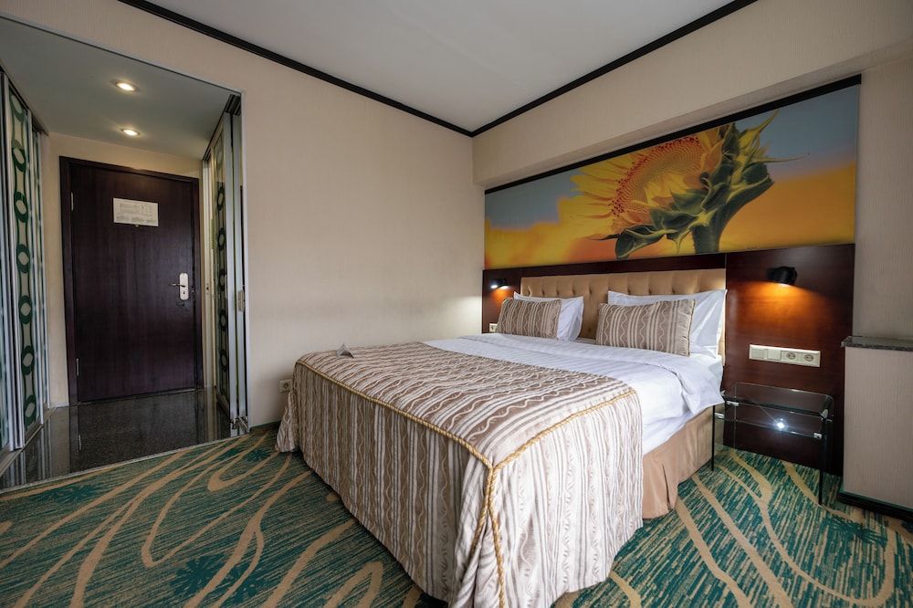 Hotel Kazzhol Almaty Standard Double Room 3