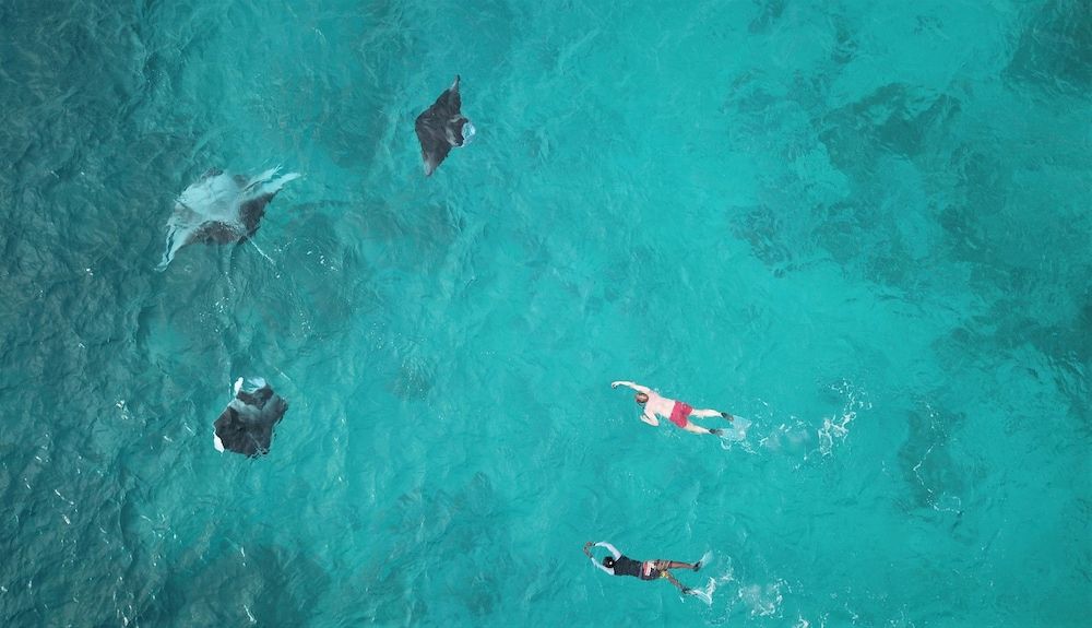 Water-based activities