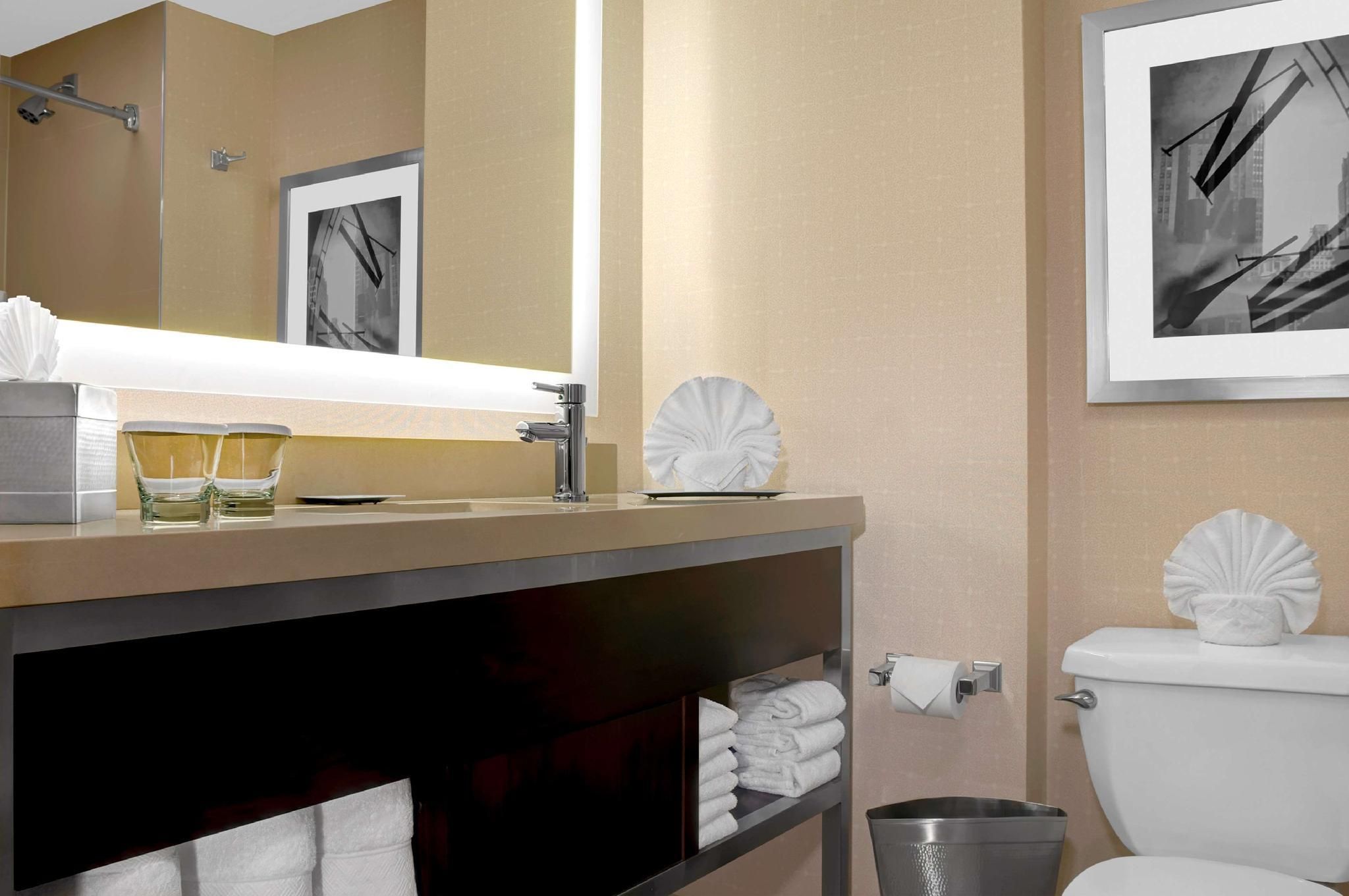 1 King City View Mobility Accessible Ri Shwr