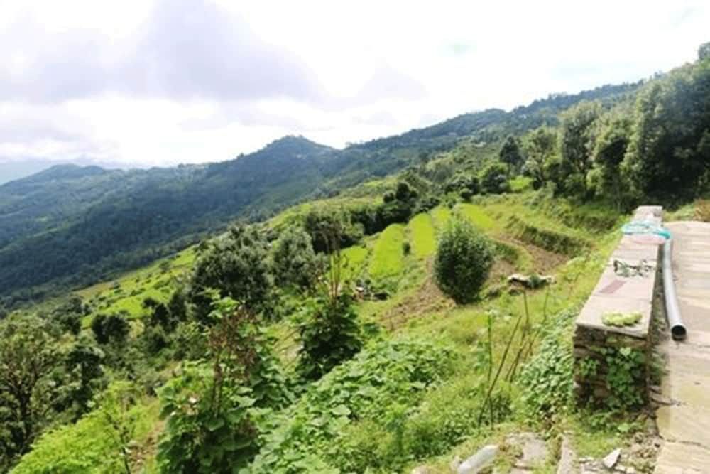 Dhampus Village Eco Lodge Standard Double or Twin Room, 2 Twin Beds, Mountain View, Mountainside 4