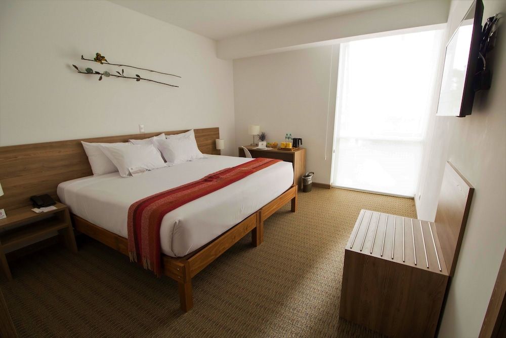undefined Tierra Viva Miraflores Mendiburu 3