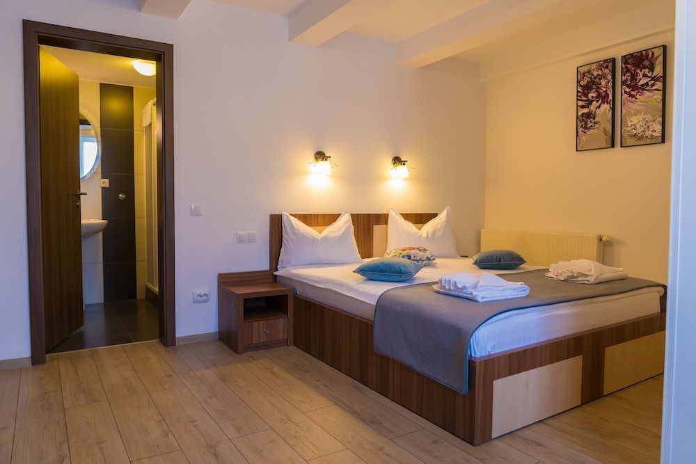 Pensiunea Transilvania Double Room 3