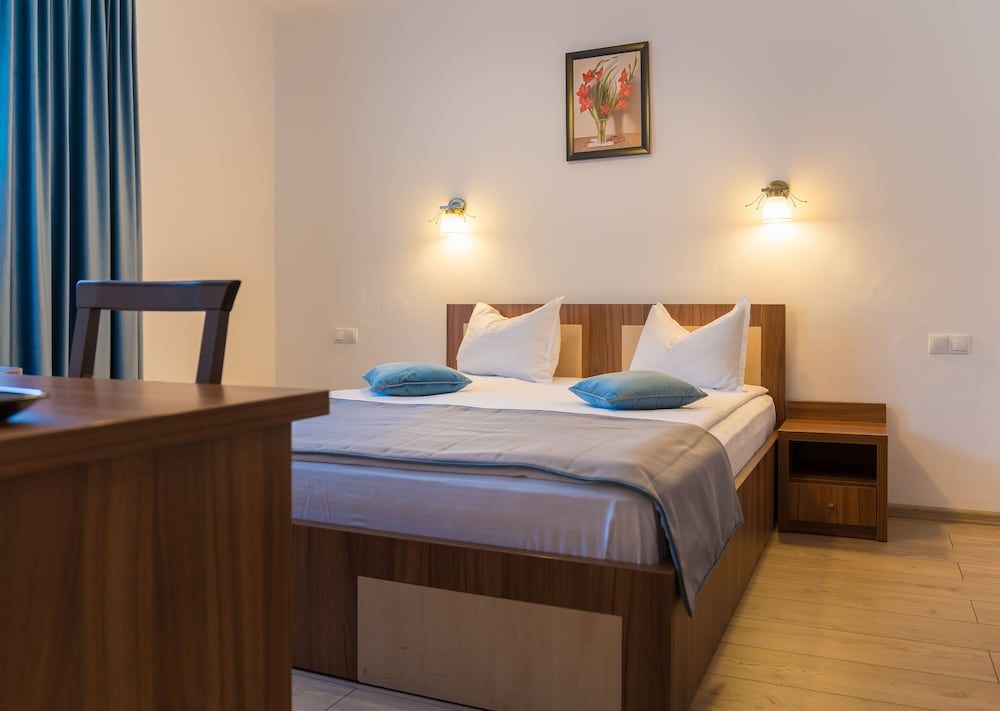 Pensiunea Transilvania Double Room 8