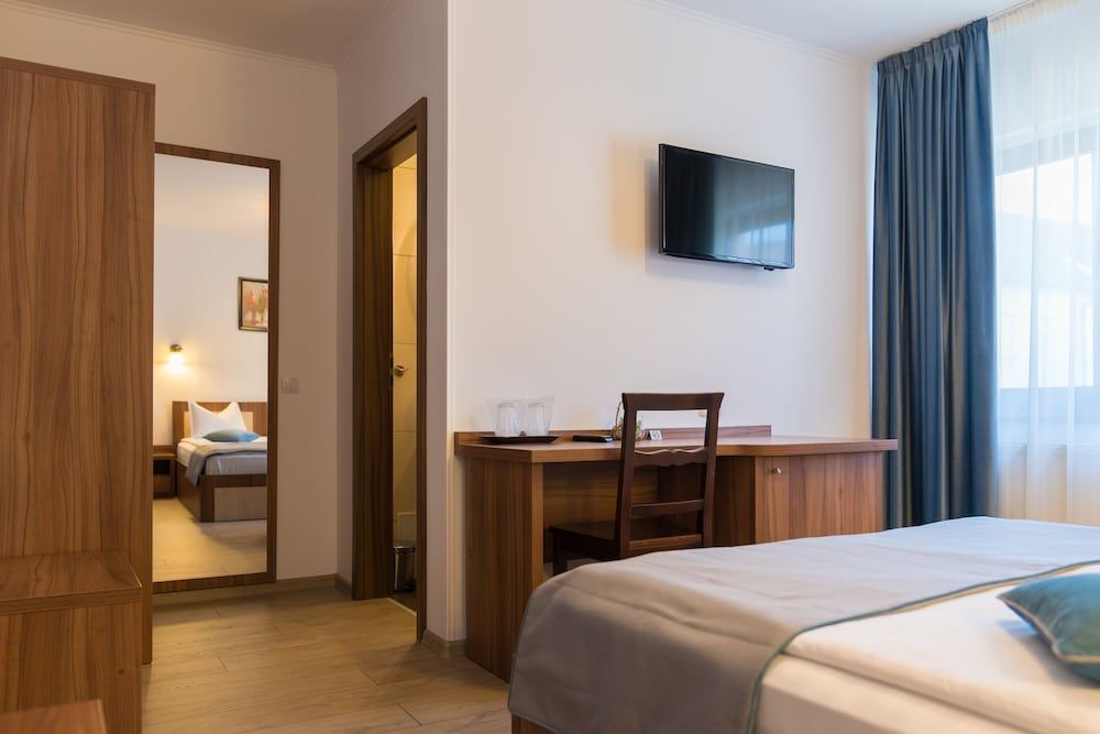 Pensiunea Transilvania Double Room 2