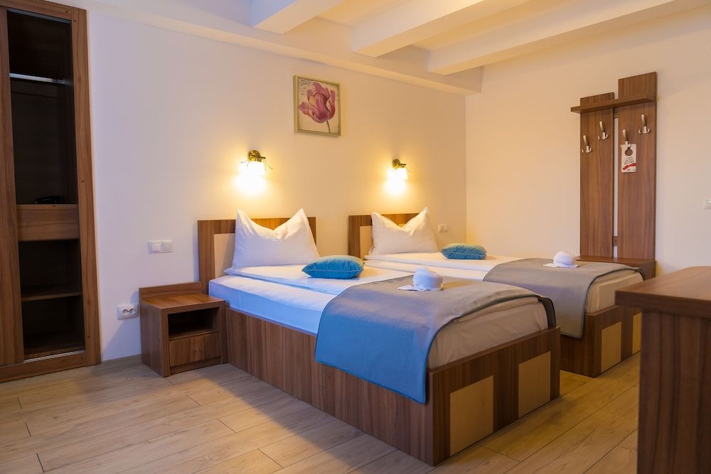 Pensiunea Transilvania Twin Room 7