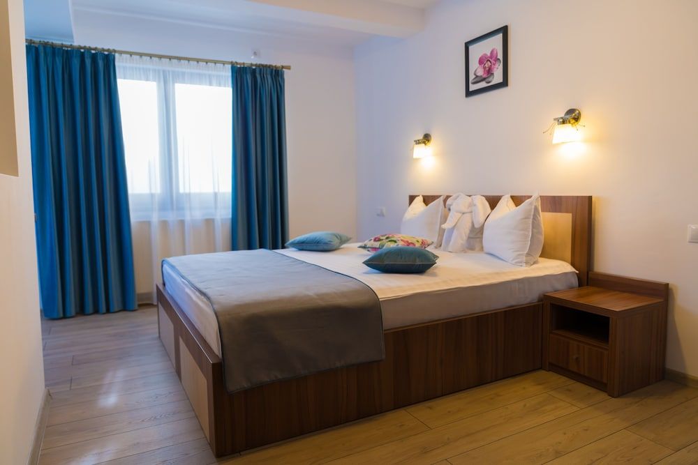 Pensiunea Transilvania Double Room 5