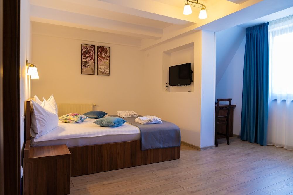 Pensiunea Transilvania Double Room 9