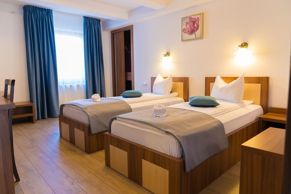 Pensiunea Transilvania Twin Room 9