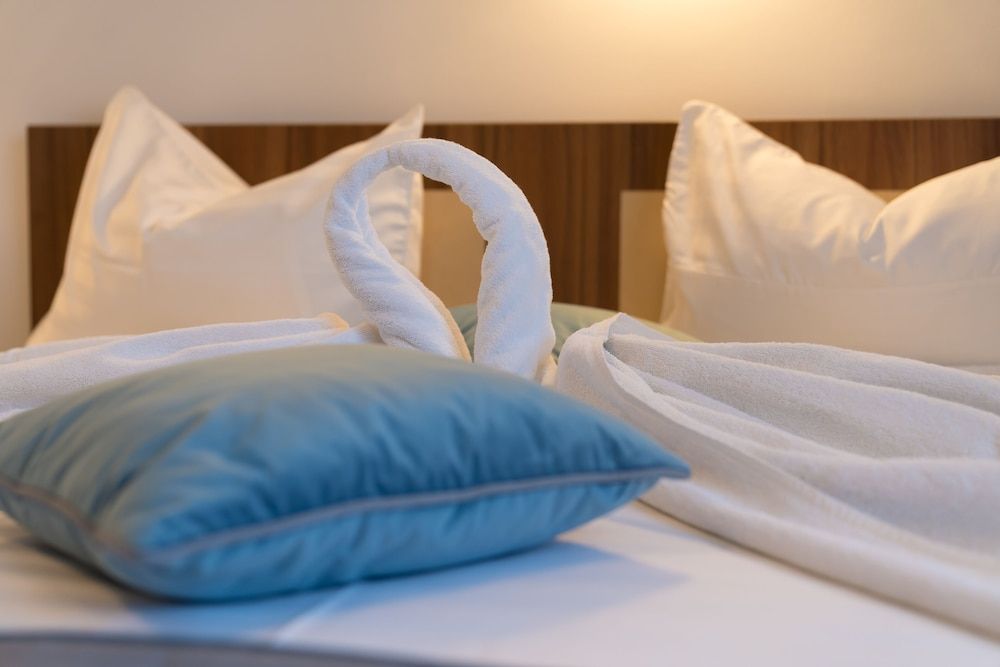 Pensiunea Transilvania Double Room