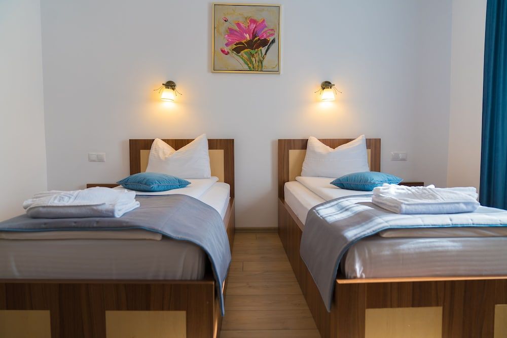 Pensiunea Transilvania Twin Room 4