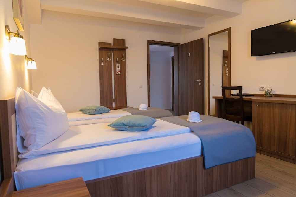 Pensiunea Transilvania Twin Room 6