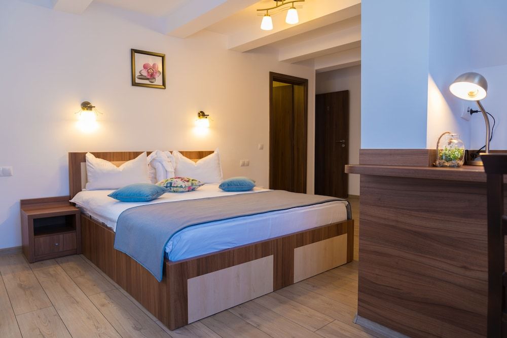 Pensiunea Transilvania Double Room 7