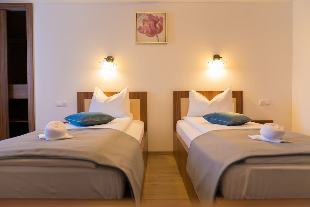 Pensiunea Transilvania Twin Room 8