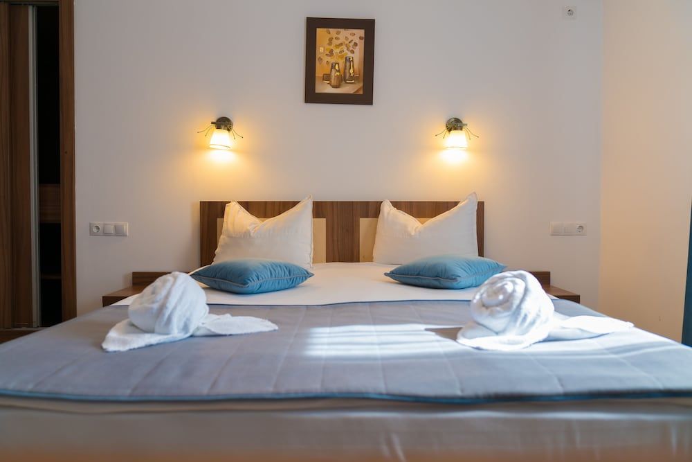 Pensiunea Transilvania Double Room 6