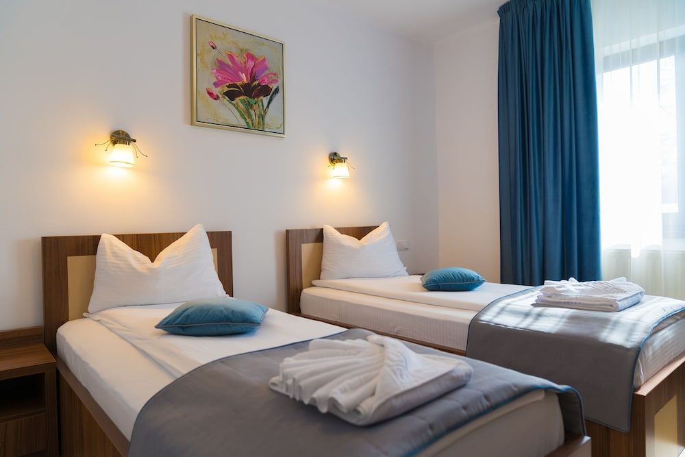 Pensiunea Transilvania Twin Room