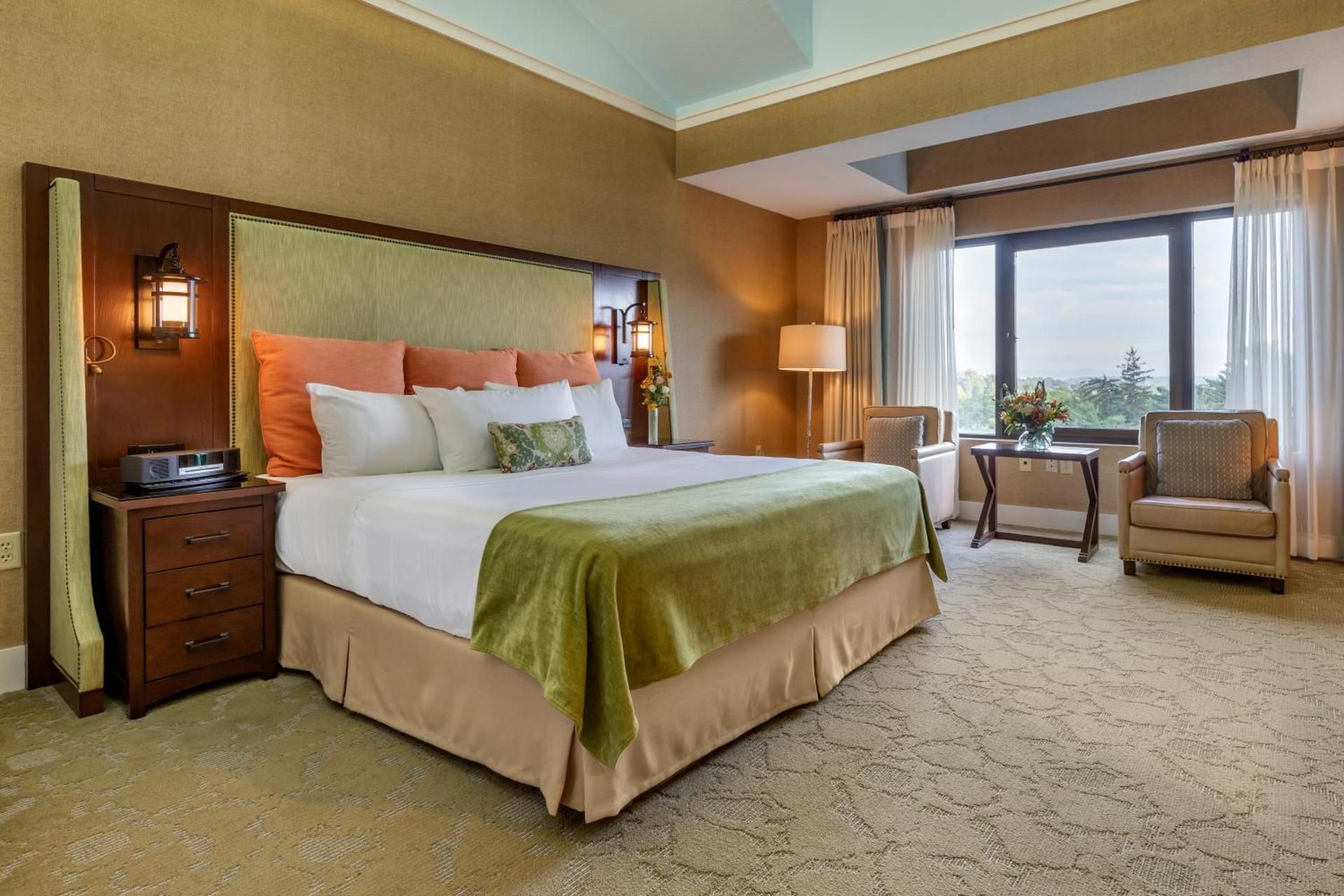 Club Room with 1 King Bed
