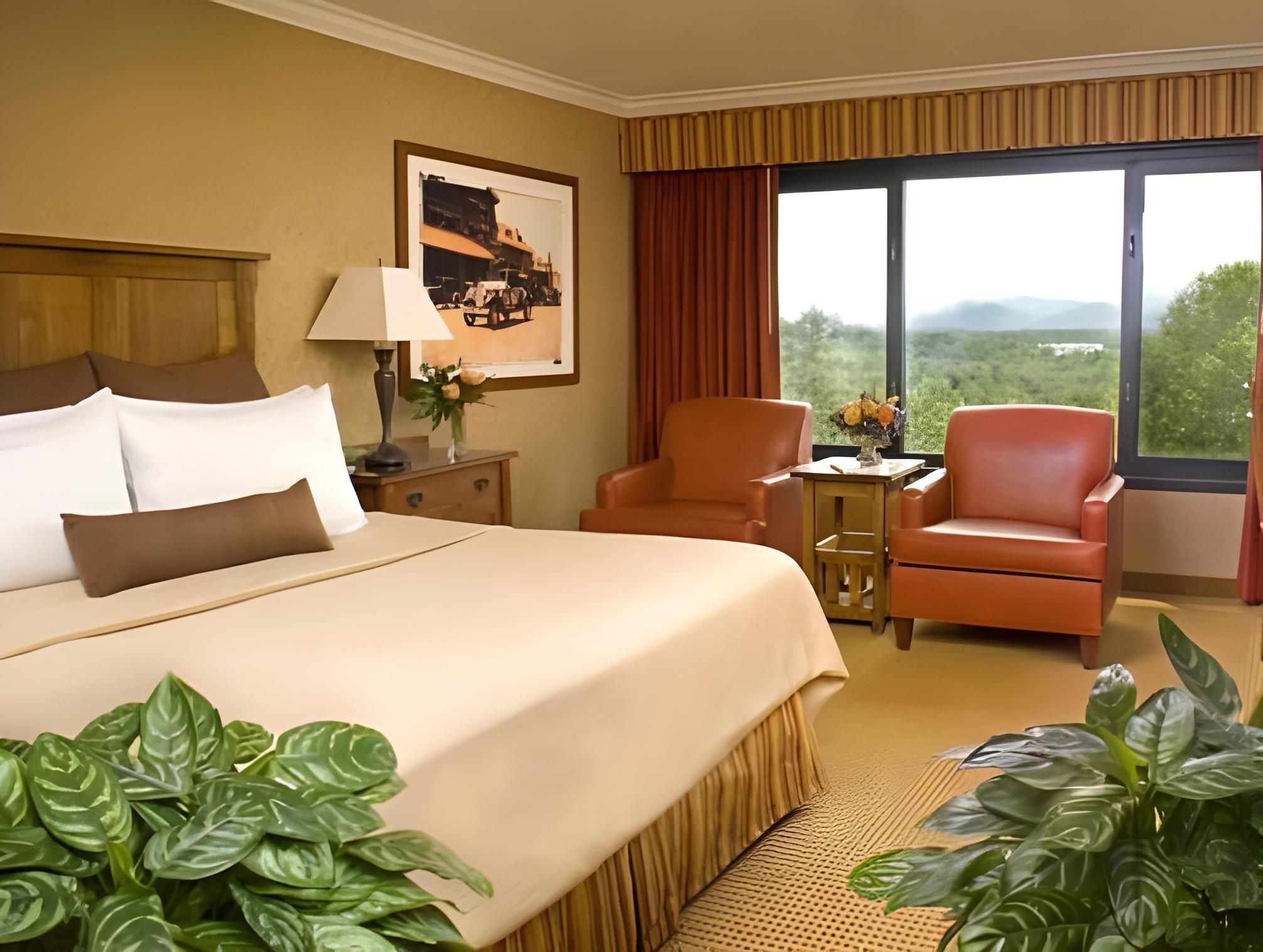 Deluxe Resort View Room 1 King Bed