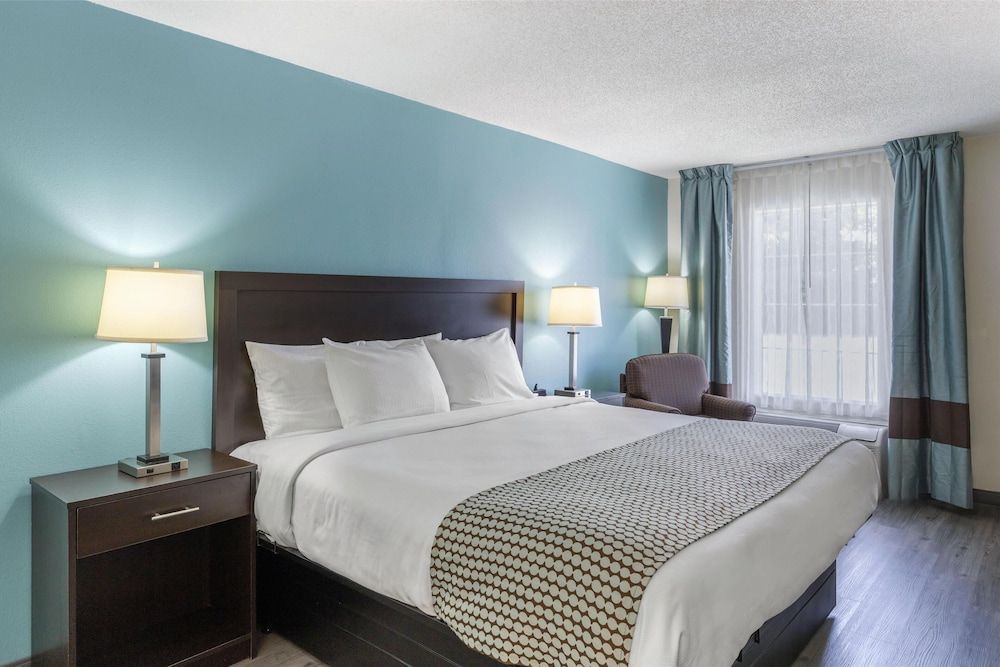 Standard Room, 1 King Bed, Non Smoking, Refrigerator & Microwave